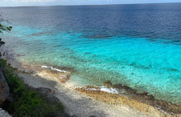 Snorkel trip with local guide in Bonaire