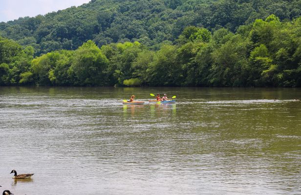 Chattahoochee River Roswell kayak rental - Don White to Azalea