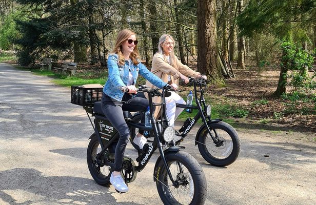 E-Fatbike rental with self-guided tour on your phone