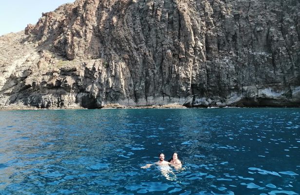Whales and dolphins tour with local crew in Tenerife