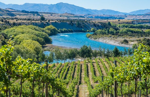Wanaka boutique wine tour