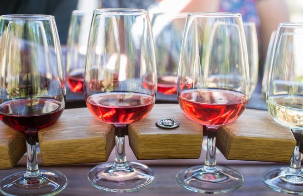 Wanaka classic wine tour