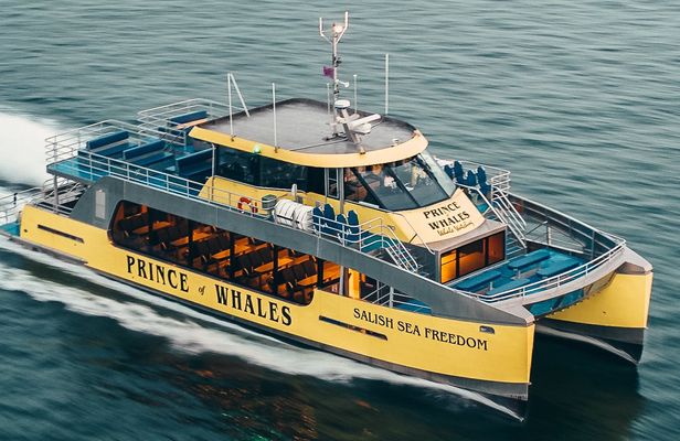 Half-day whale watching from Vancouver