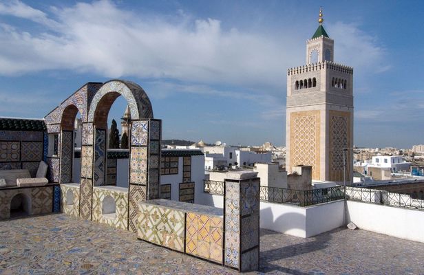 Carthage, Sidi Bou Said and Medina guided tour from Hammamet and Nabeul