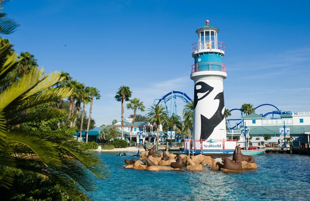 SeaWorld Orlando Rescue tour