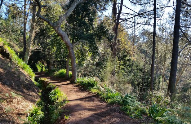 Paradise Valley hiking tour in Madeira
