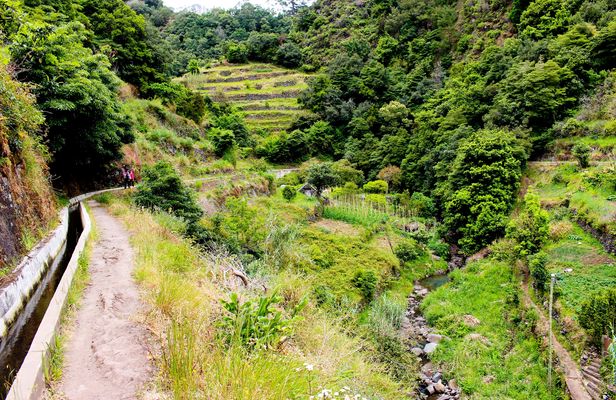 Maroços to Mimosa Valley guided hiking tour in Madeira