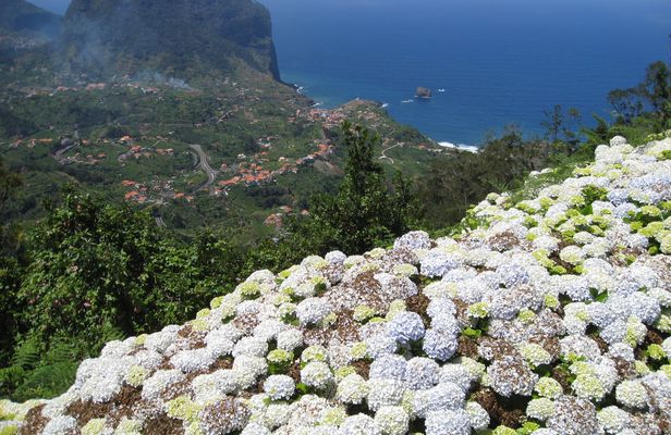 Referta to Castelejo guided hiking tour in Madeira