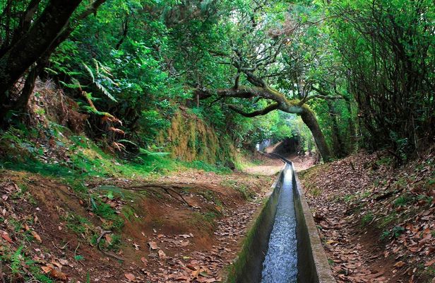 Levada do Furado hiking tour from Ribeiro Frio to Portela