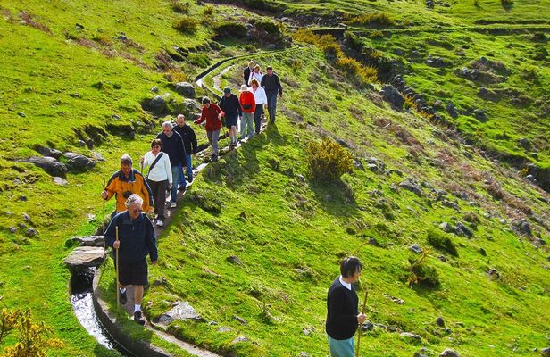 Lakes of Madeira full-day hiking tour