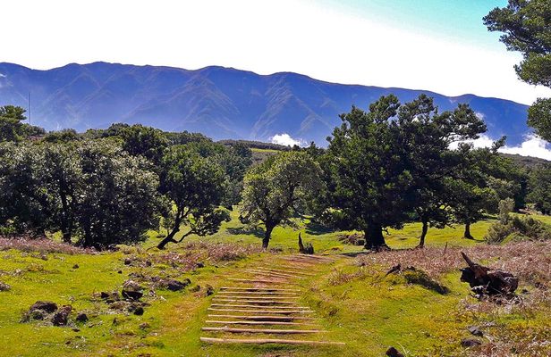 Full-day hiking tour from Assobiadores to Fanal