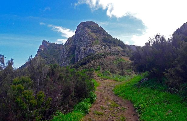 Vereda do Larano full-day hiking tour