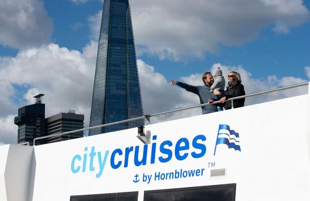 One-Way Sightseeing Cruise on the Thames River