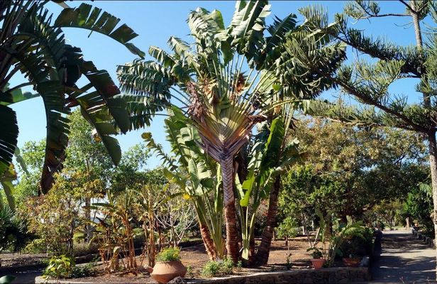 Mountain bike rental in southern Gran Canaria