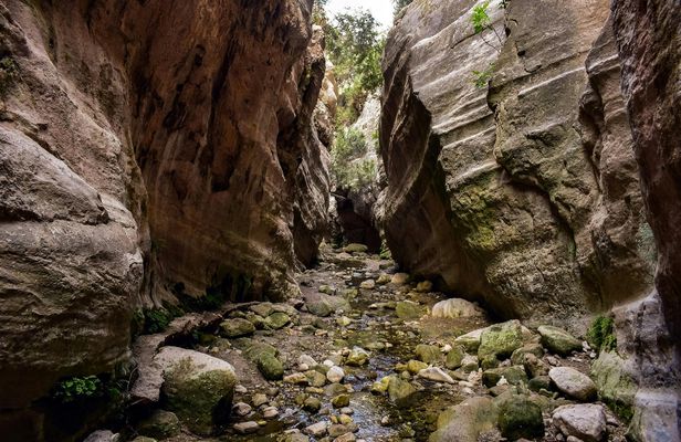 Akamas half-day jeep safari tour from Paphos