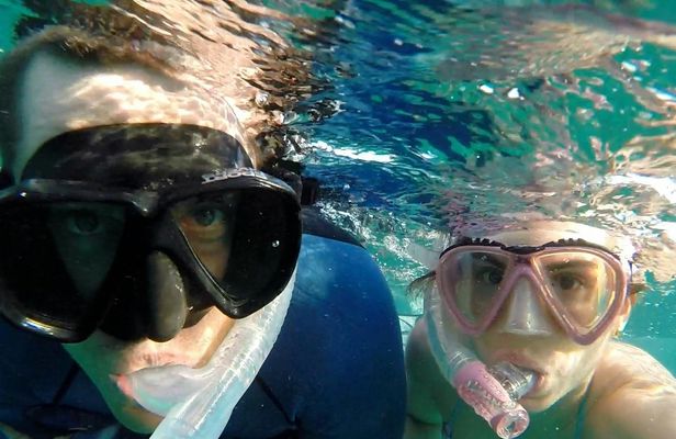 3-hour cruise and snorkeling experience in Key West