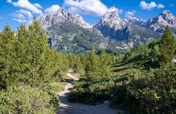 Grand Teton and Yellowstone Self-guided Driving Tours Bundle
