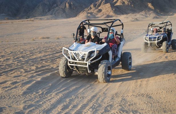 Stargazing with a sand buggy, camel ride, dinner and show in Sharm El Sheikh