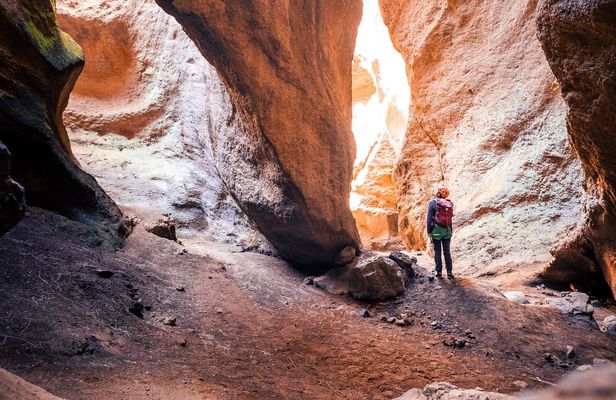 Half-day guided canyoning adventure in Tenerife