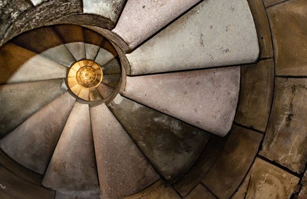 Guided tour of Sagrada Familia with entrance to the towers