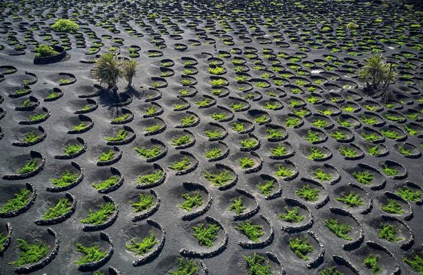 Discover Lanzarote from Fuerteventura