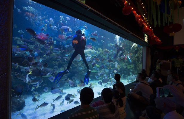 Aquaria KLCC Kuala Lumpur entrance ticket