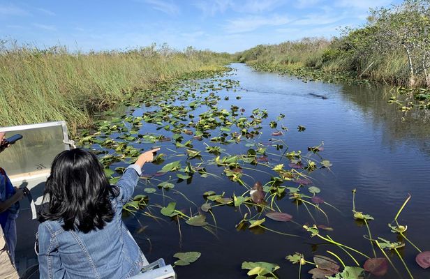 Everglades National Park airboat tour with pick-up from Miami