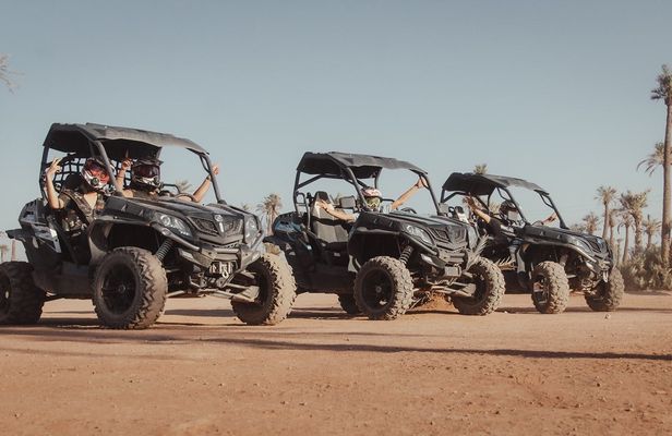Marrakech Palm Grove buggy tour with Moroccan tea break