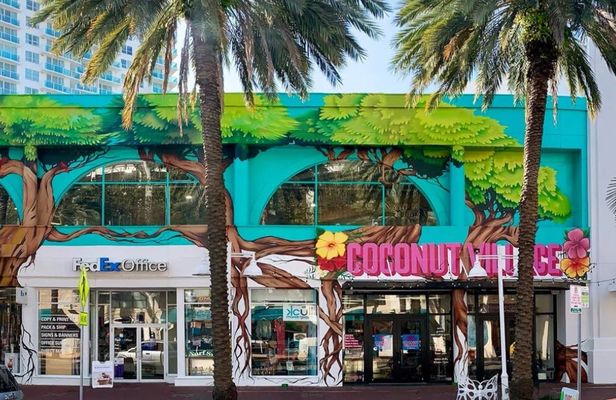 Miami Coconut Grove Downtown guided tour