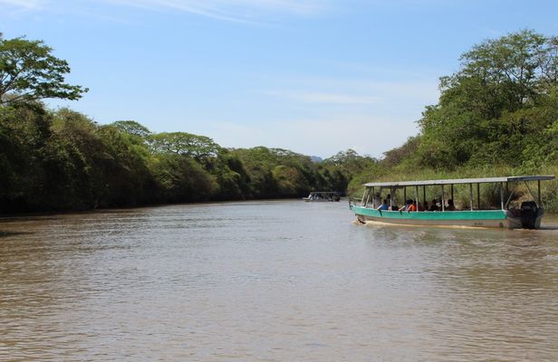 Jungle river cruise at Palo Verde National Park