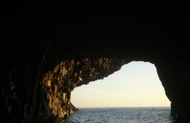 Flipper tour with whale watching & visit of the new lava delta