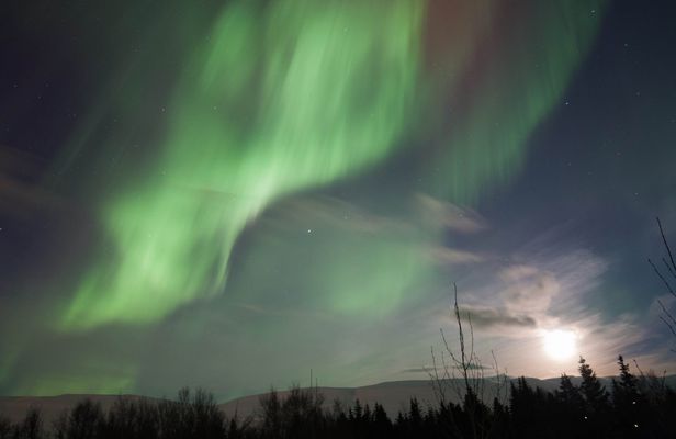 Private Northern Lights Tour