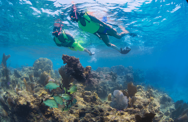 Key West day trip and snorkeling adventure