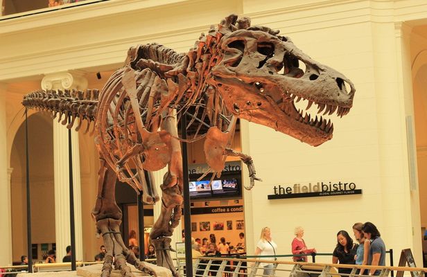 Field Museum of Natural History tickets and audio tour