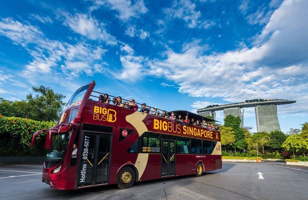 Big Bus panoramic night tour of Singapore