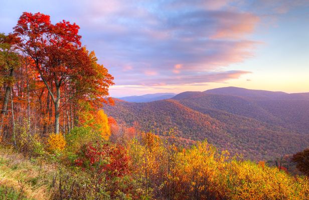 Shenandoah National Park Self-Guided Driving Audio Tour