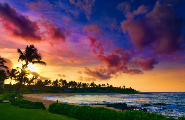 Na Pali and Waimea Self-Guided Driving Tour in Kauai