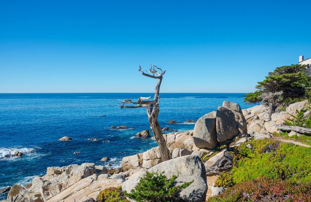 Scenic 17-Mile self-guided driving tour in Monterey