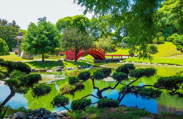Private tour of Palermo, the Japanese and Botanical Gardens