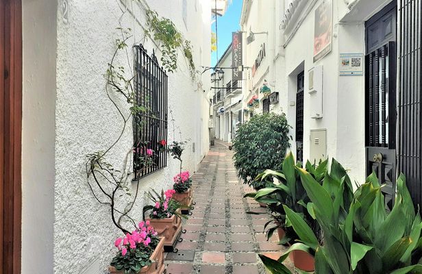 Small-group walking tour of Marbella
