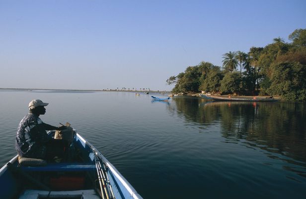 Bush and Saloum Delta guided tour from Saly or Somone
