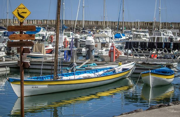 Guided tour to discover the heritage of the Azorean whalers