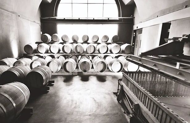 Historical and artistic visit of the cellars of the Canard Duchêne House