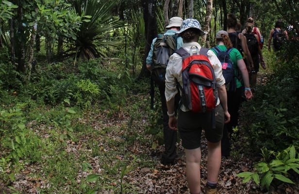 Mauritius Ebony Forest and hiking tour