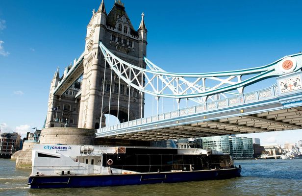 London 24 Hour River Pass tickets