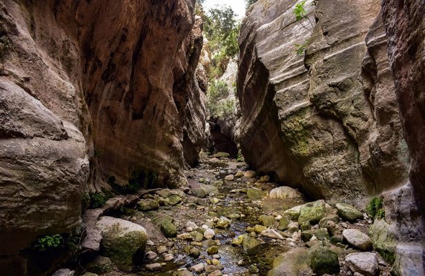 Akamas jeep safari tour from Paphos