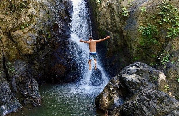 El Yunque Rainforest nature hikes with a local full-day tour
