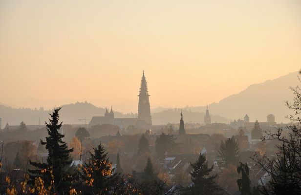 Instagrammable spots of Freiburg walking tour with a Local