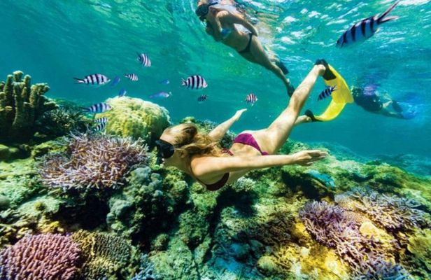 Bali Blue Lagoon and Tanjung Jepun guided tour with snorkeling