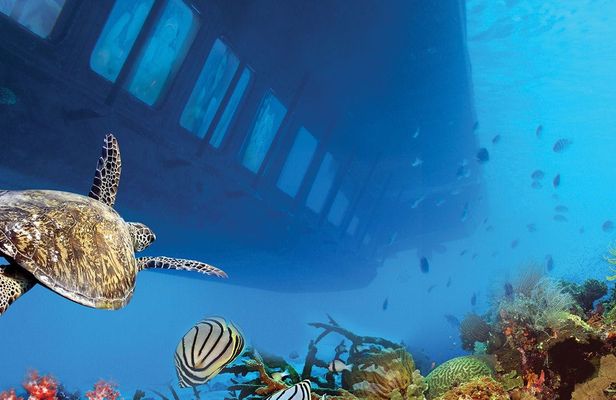 Hurghada mermaid glass-bottom boat tour